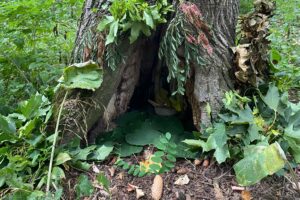 House for a Fairy