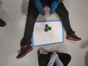 The Order of Things – Falling Leaves